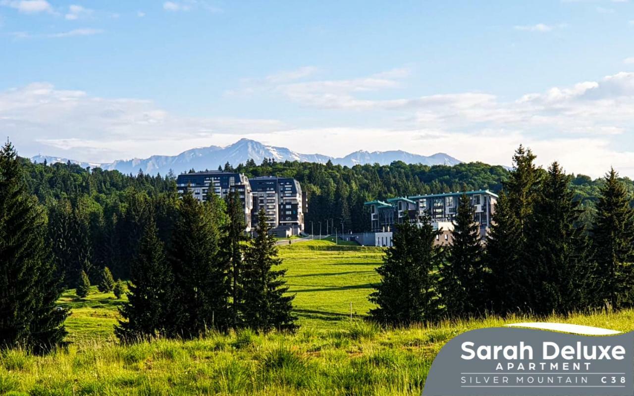 Sarah Deluxe Apartment in SILVER MOUNTAIN Poiana Brasov Buitenkant foto